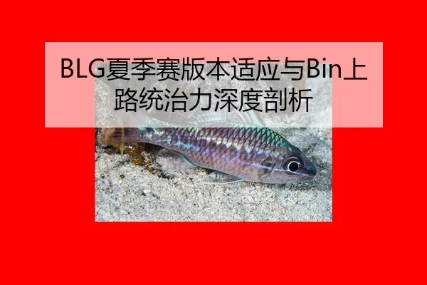 xia-ji-sai-ban-ben-shi-ying-yu-shang-lu-tong-zhi-li-shen-du-pou-xi-2-508.jpg