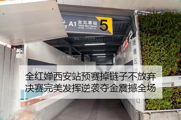 全红婵西安站预赛掉链子不放弃 决赛完美发挥逆袭夺金震撼全场