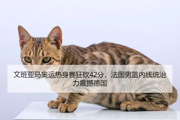 文班亚马奥运热身赛狂砍42分，法国男篮内线统治力震撼德国